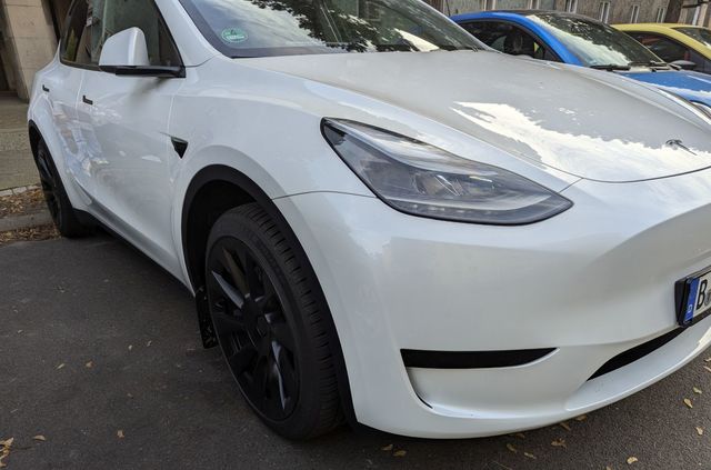 Die besten Tesla Model Y Winterreifen - Test 2024